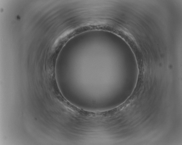 X0000075900920200609221933