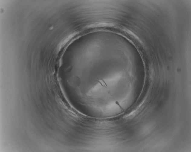 X0000075900921200609221933