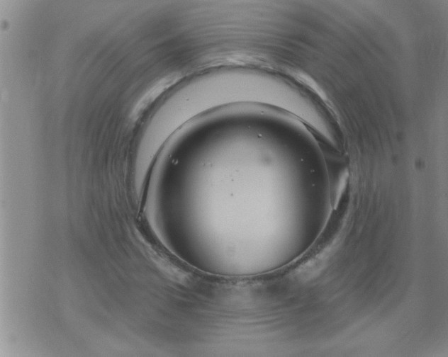 X0000075900922200609221933