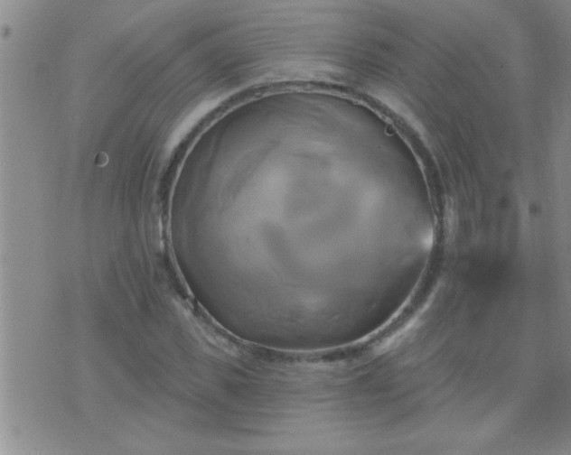 X0000075900925200609221933