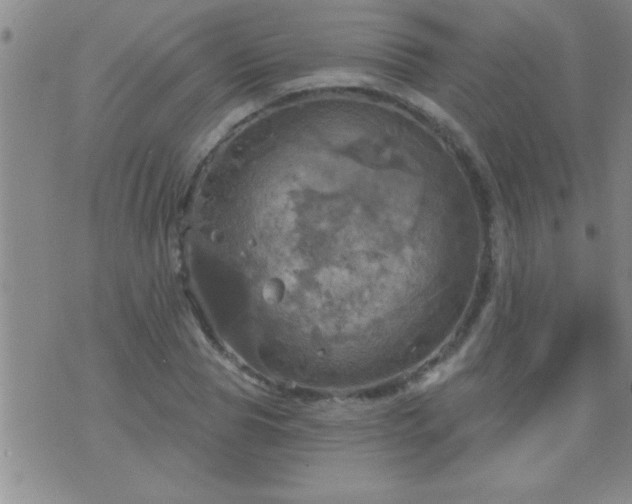 X0000075900929200609221933