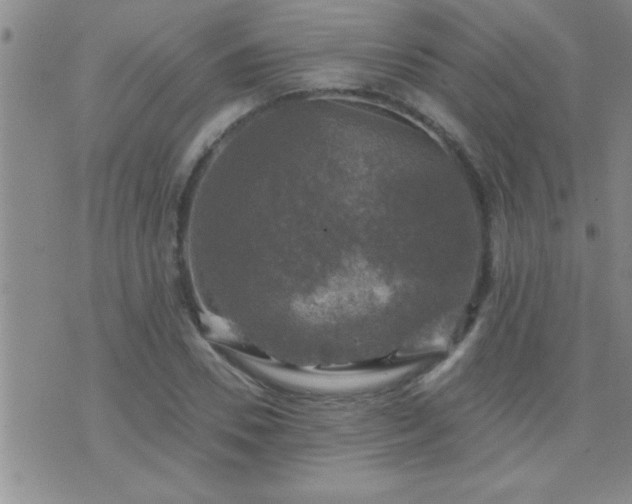 X0000075900930200609221933