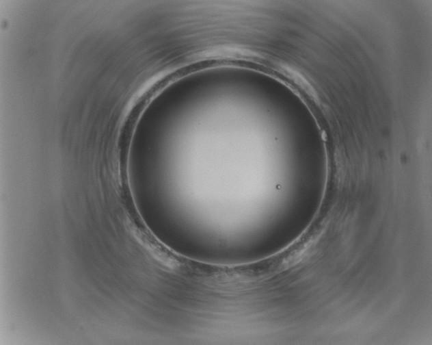 X0000075900931200609221933