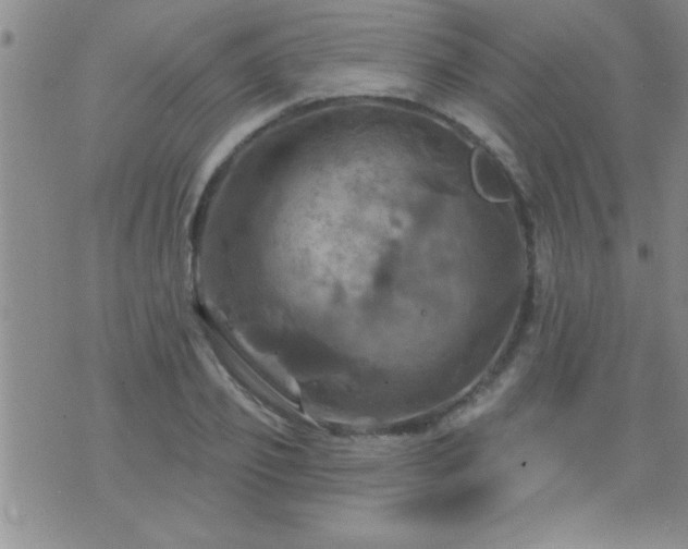 X0000075900933200609221933