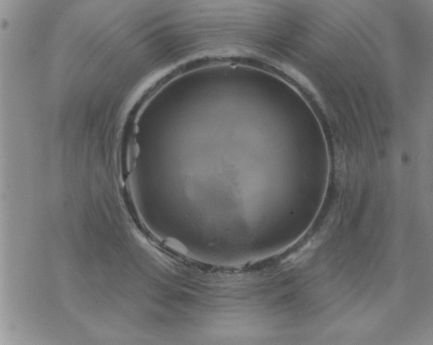 X0000075900935200609221933