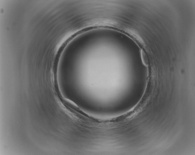 X0000075900936200609221933