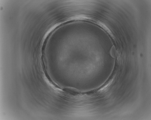 X0000075900939200609221933