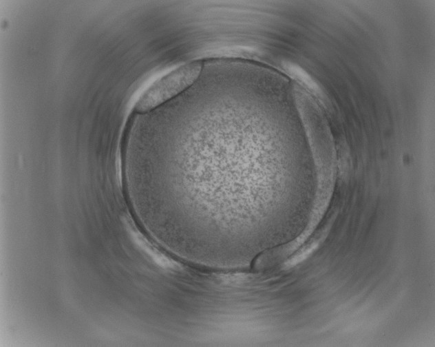 X0000075900940200609221933