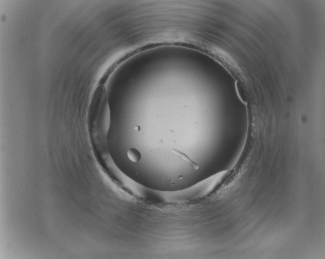 X0000075900942200609221933