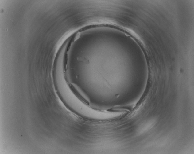 X0000075900943200609221933