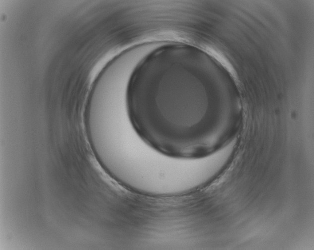 X0000075900944200609221933