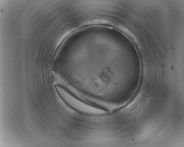 X0000075900945200609221933