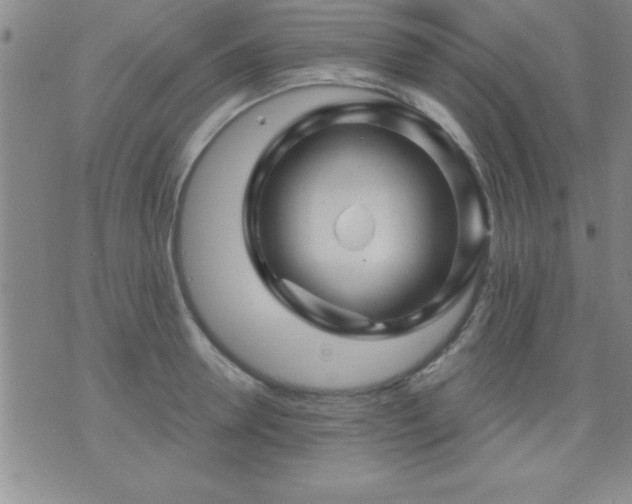 X0000075900946200609221933