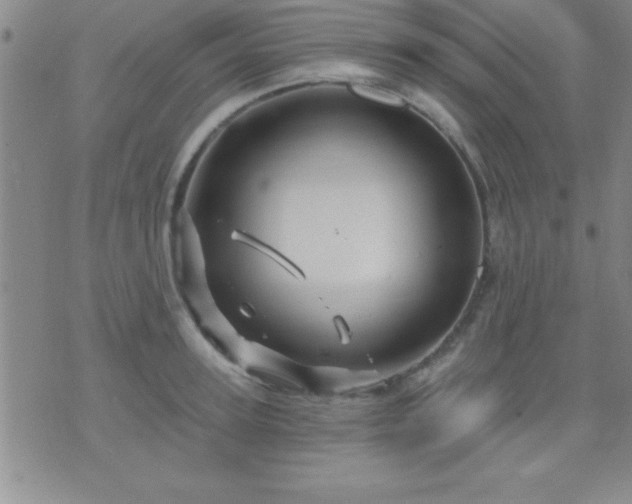 X0000075900947200609221933