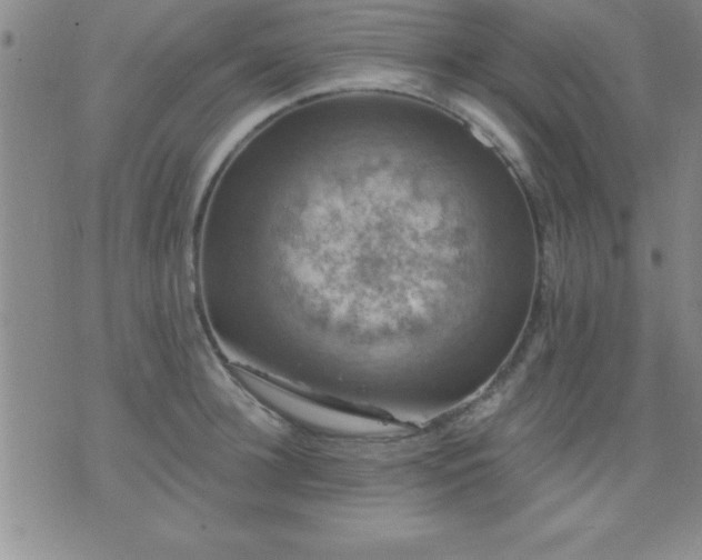 X0000075900948200609221933