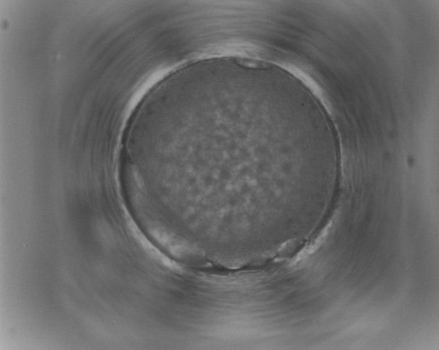 X0000075900949200609221933