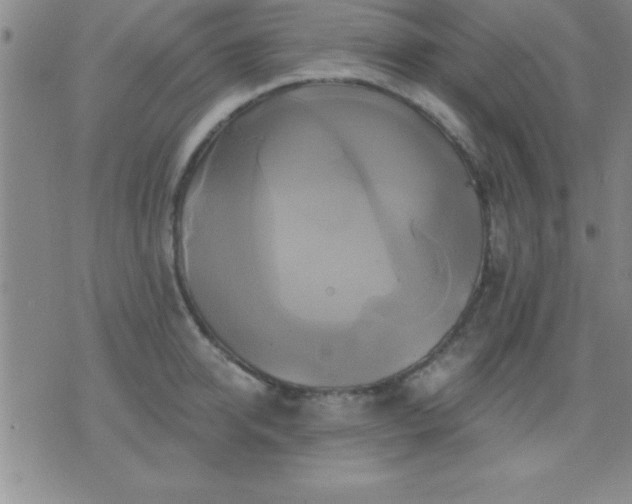 X0000075900950200609221933