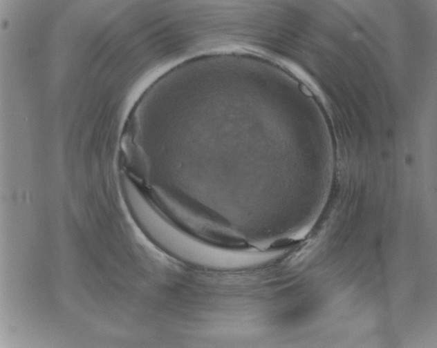 X0000075900951200609221933