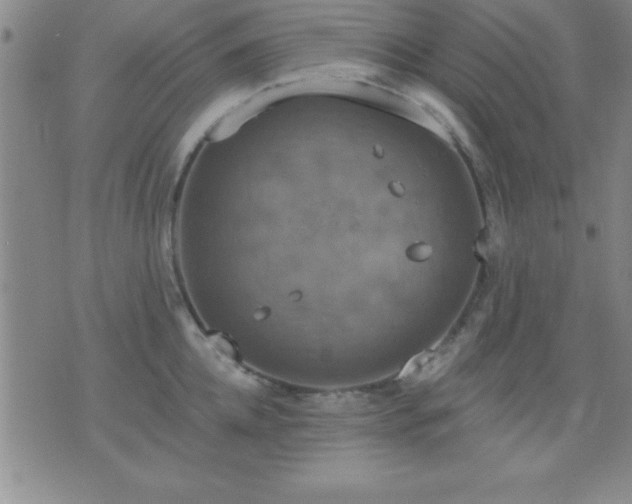 X0000075900952200609221933