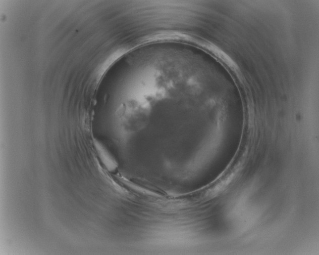 X0000075900953200609221933