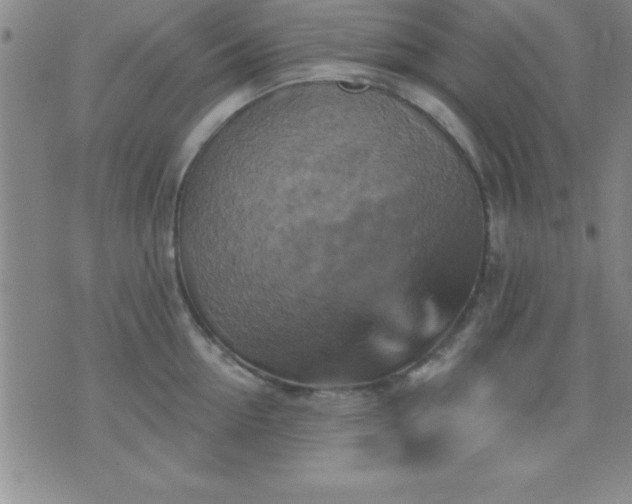 X0000075900954200609221933