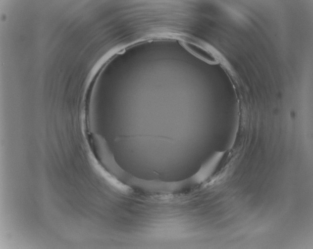 X0000075900955200609221933