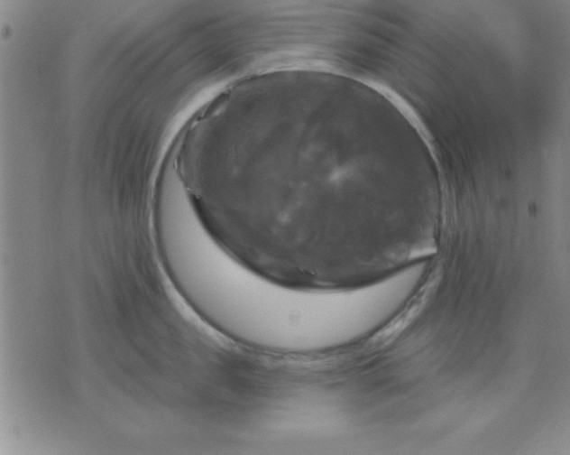 X0000075900957200609221933