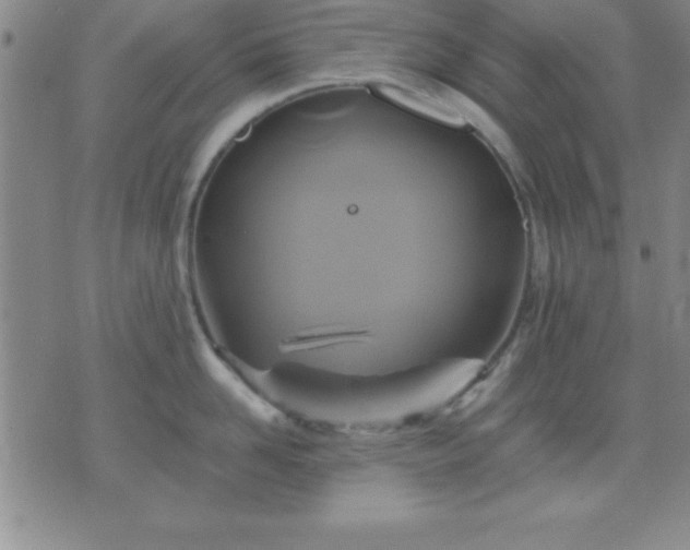 X0000075900958200609221933