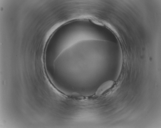 X0000075900959200609221933