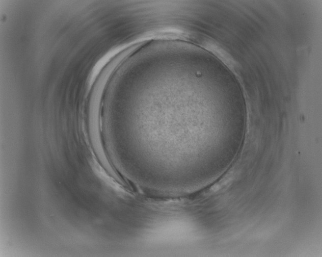 X0000075900960200609221933