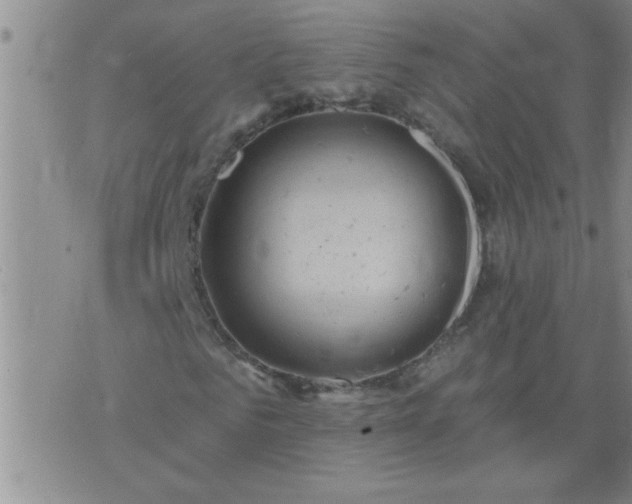 X0000075900961200609221933