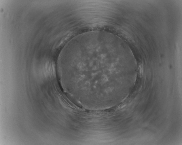 X0000075900963200609221933