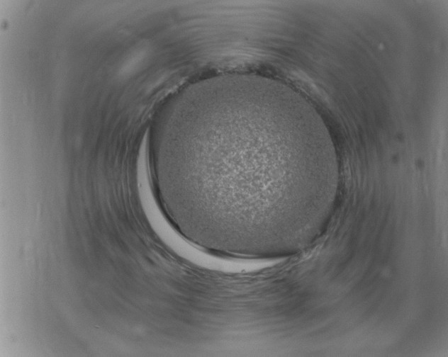 X0000075900964200609221933