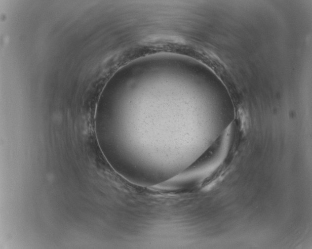 X0000075900965200609221933