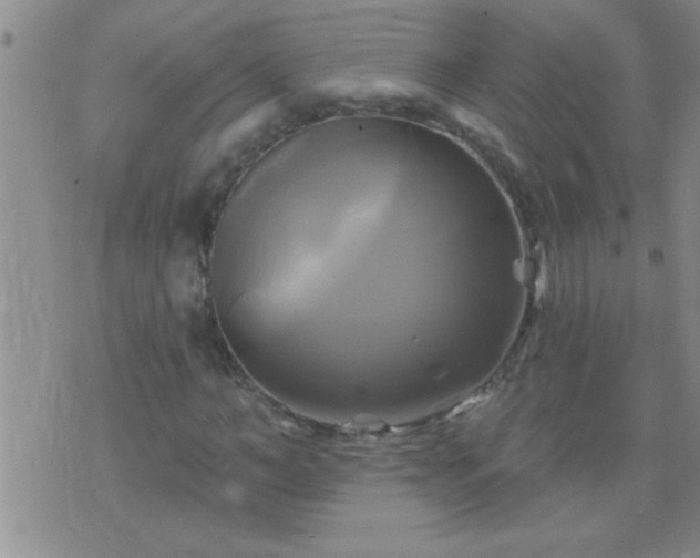 X0000075900966200609221933