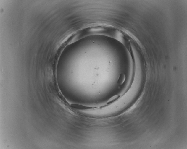 X0000075900969200609221932