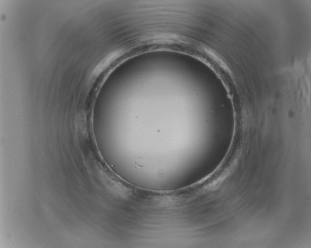 X0000075900970200609221932