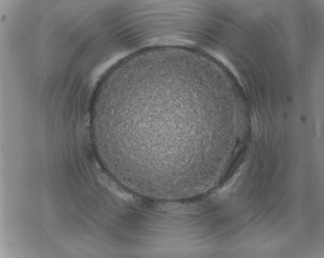 X0000075900971200609221932