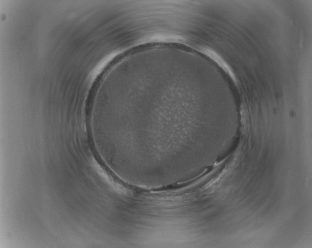 X0000075900972200609221932