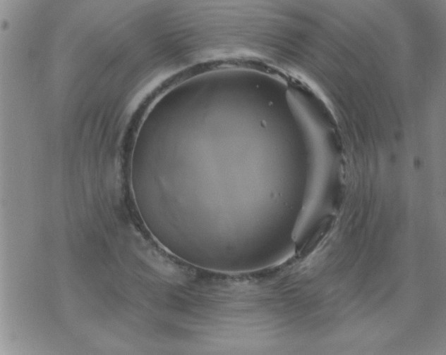 X0000075900975200609221932