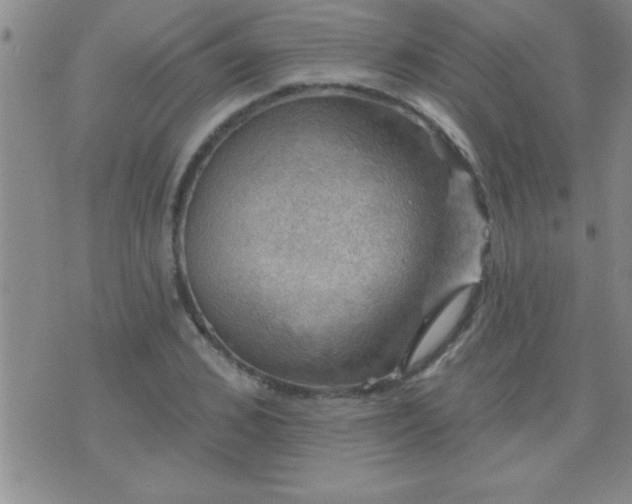 X0000075900976200609221932