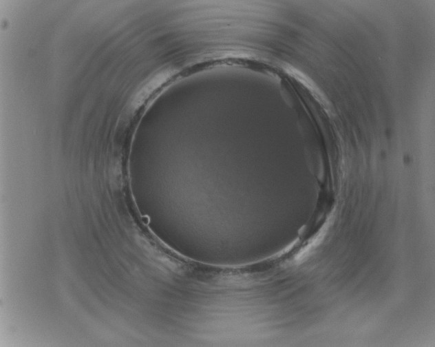 X0000075900977200609221932