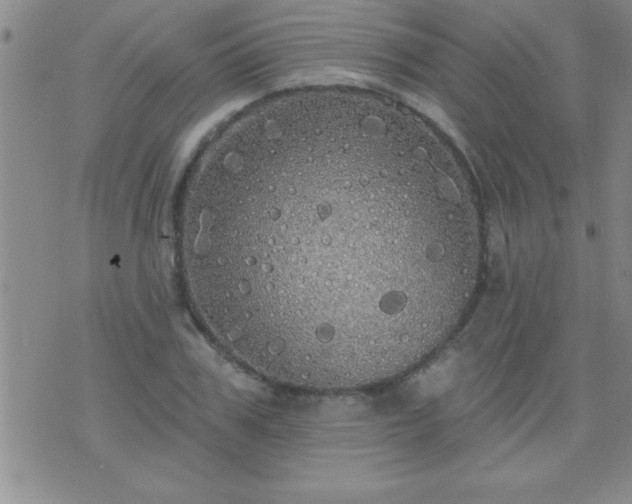 X0000075900979200609221932