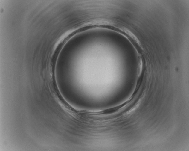 X0000075900981200609221932