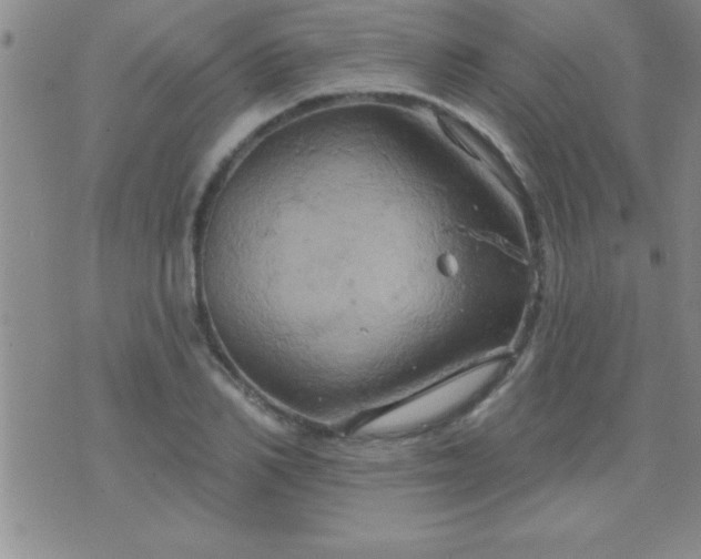 X0000075900982200609221932