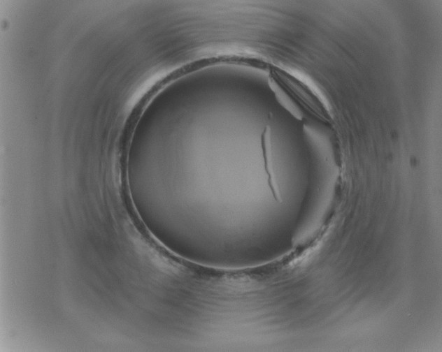 X0000075900983200609221932