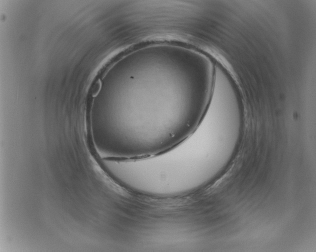 X0000075900984200609221932