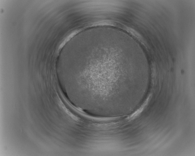 X0000075900985200609221932