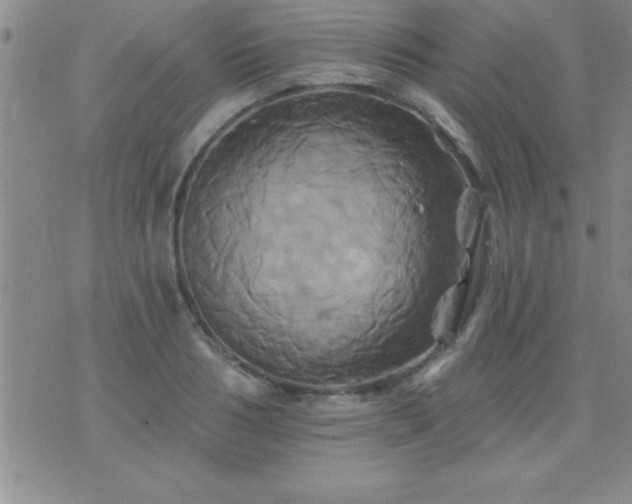 X0000075900986200609221932