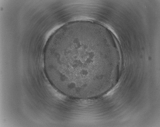 X0000075900987200609221932